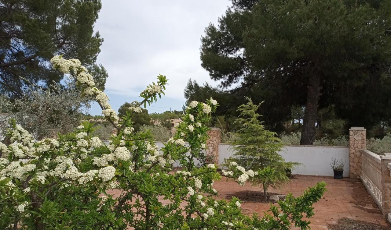 Casa De Pascual Villa Йекла Екстериор снимка